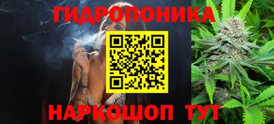 МДПВ Лесосибирск
