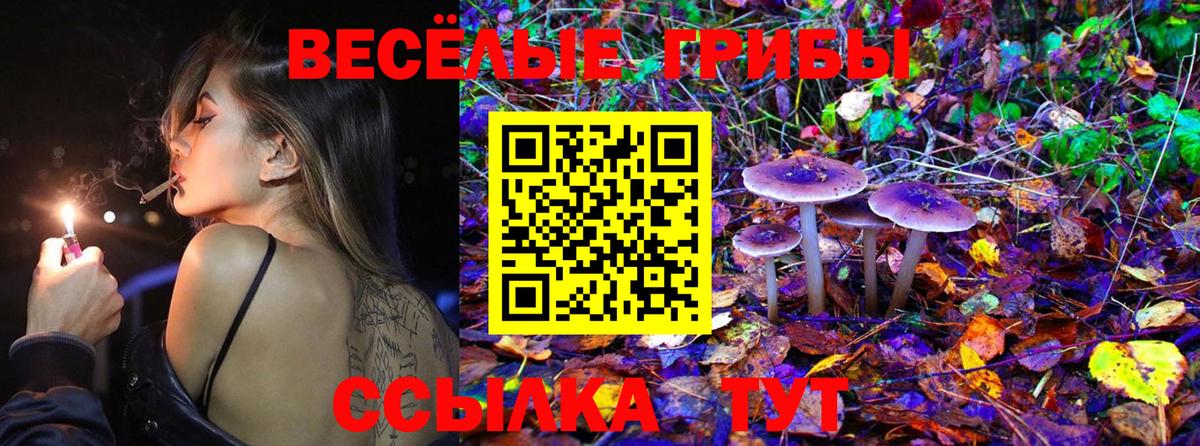 Галлюциногенные грибы MAGIC MUSHROOMS Кингисепп