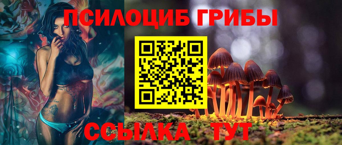 Псилоцибиновые грибы Psilocybe  Вход с VPN  Кингисепп  Псилоцибиновые грибы MAGIC MUSHROOMS 